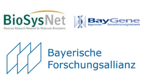 Die BayFOR auf dem Symposium „From Functional Genomics to Systems Biology” Logo Biosysnet, Baygene und Bayerische Forschungsallianz