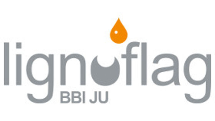 Logo LIGNOFLAG