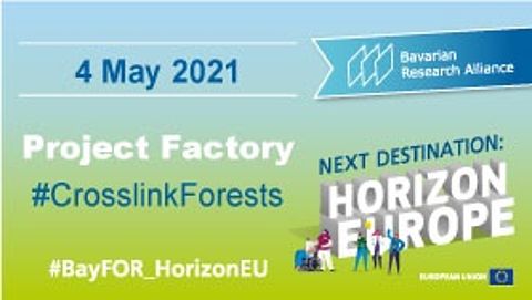 Next Destination: Horizon Europe – Project Factory “Crosslink Forests” BayFOR Crosslink Forests