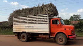 Konferenz “Science for Impact in Africa: Bridging the Gap between Academia and Societal Needs in Agri-Food Systems” Science for Impact in Africa