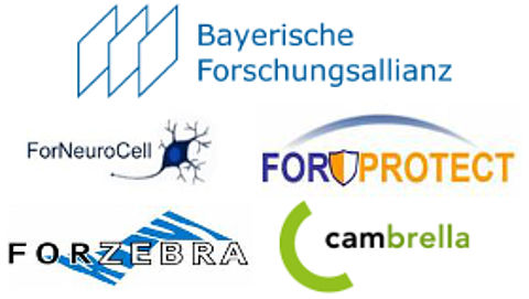 Logos der Bayerischen Forschungsallianz, der bayerischen Forschungsverbünde forneurocell, forprotect und forzebra und des europäischen Forschungsprojekts cambrella