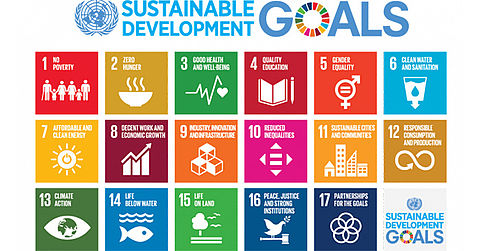 Wissenschaftsgipfel bei der Generalversammlung der Vereinten Nationen (UNGA77) Sustainable Development Goals