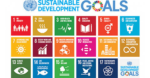 Sustainable Development Goals