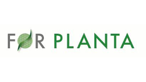 Gentechnik & Verantwortung Bayerischer Forschungsverbund FORPLANTA