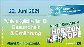 Next Destination: Horizon Europe – Fördermöglichkeiten für Gesundheit und Ernährung BayFOR Gesundheit Horizon Europe Event