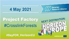 Next Destination: Horizon Europe – Project Factory “Crosslink Forests” BayFOR Project Factory Crosslink Forests