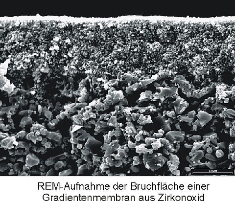 REM-Aufnahme der Bruchfläche einer Gradientenmembran aus Zirkonoxid