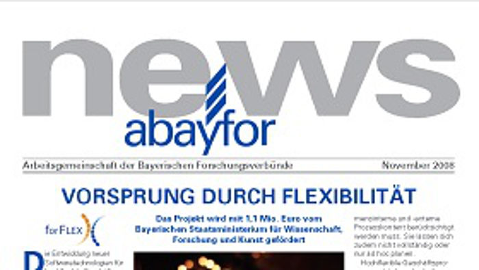 BayFOR News November 2008