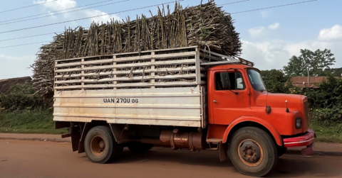 Konferenz “Science for Impact in Africa: Bridging the Gap between Academia and Societal Needs in Agri-Food Systems” Science for Impact in Africa