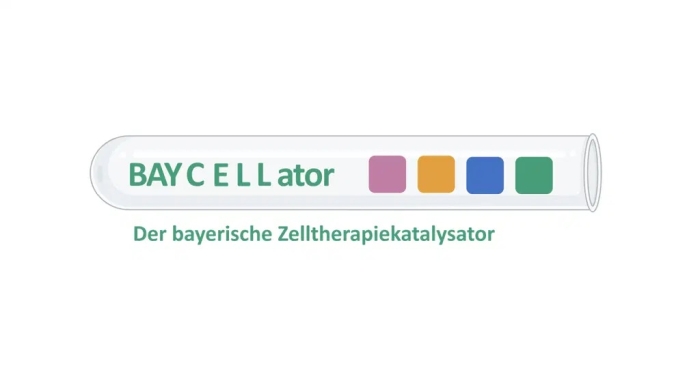 Neuer Forschungsverbund: „BAYCELLator – Der bayerische Zelltherapiekatalysator“ Forschungsverbund BAYCELLator
