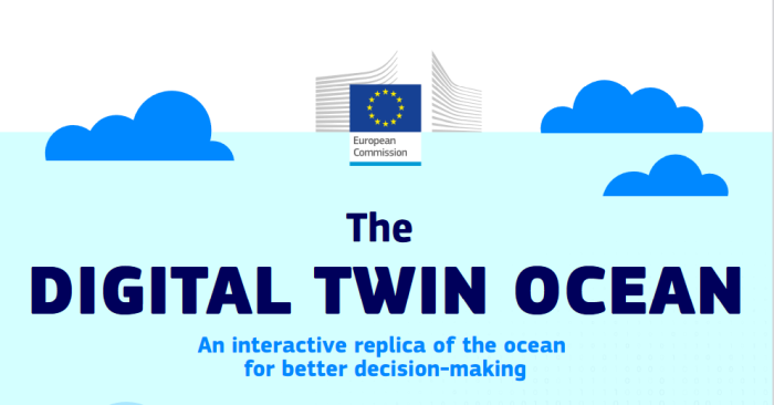 Digital Twin Ocean