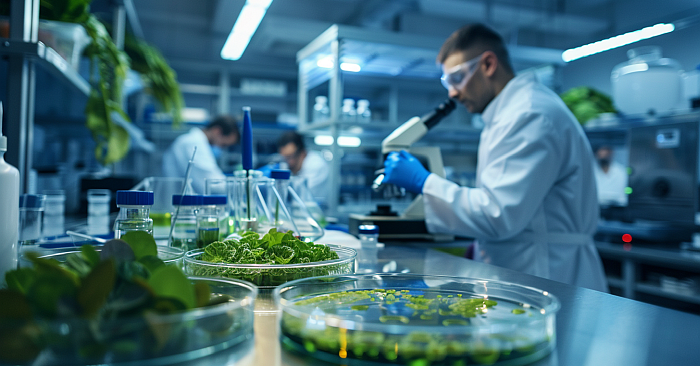 EU-Konsultation „Food 2040“: Strategische Forschungsagenda für Europas Ernährungssysteme