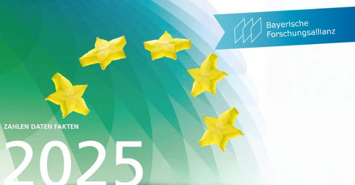 BayFOR Factsheet 2025