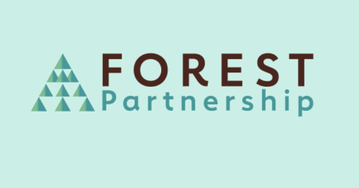 European FOREST Partnership launches: €233 million for sustainable forests and the circular bioeconomy