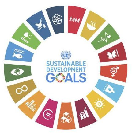 UN sustainable development goals