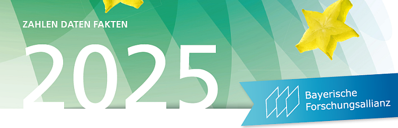 BayFOR Factsheet 2025