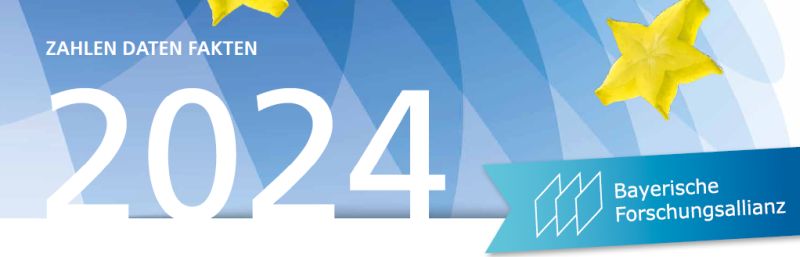 BayFOR Fact Sheet 2024