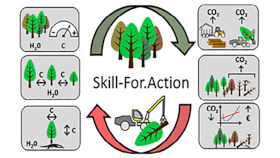 EU-Projekt Skill-For.Action