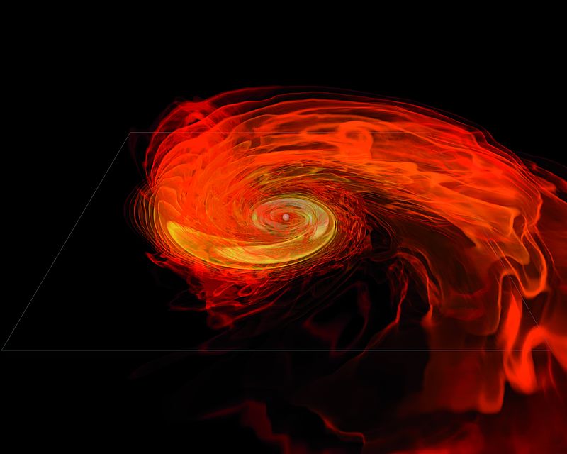Black-hole torus system